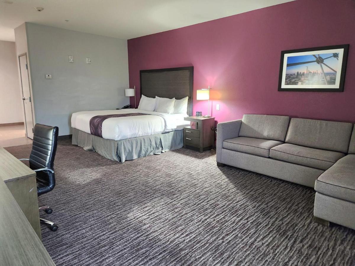 Hotel La Quinta By Wyndham Dallas North
